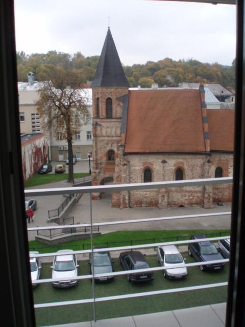 Marijos Karpenko Apartaments Kaunas Bagian luar foto